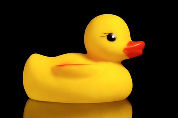 Rubber duck