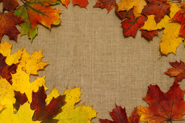 Naklejka na ściany i meble Background of autumn leaves on fabric
