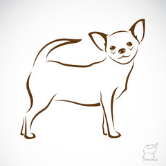 Vector image of an chihuahua dog