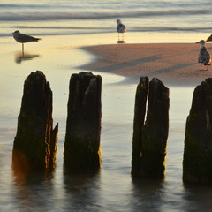 poranek na plaży © Pio Si