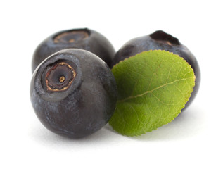 Fresh blueberries isolated on white background