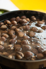 Blood cockle in a pot