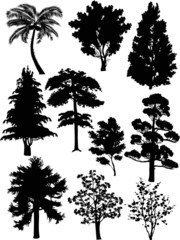 set of ten black trees on white