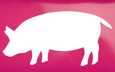 Silhouette of a pig