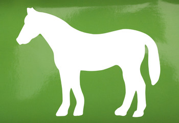 Silhouette of a horse