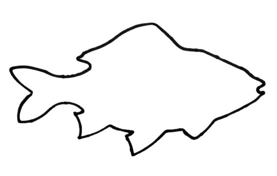 Outline of a fish