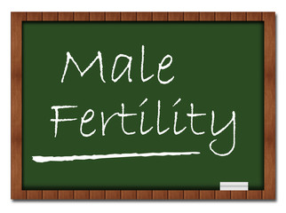 Obraz premium Male Fertility - Classroom Board
