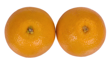 Close-up of oranges © imagedb.com