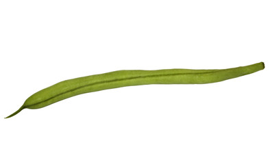 Close-up of a green bean