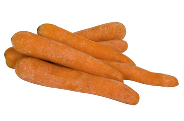 Close-up of carrots