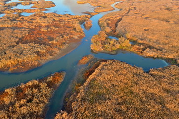aerial view of wetland