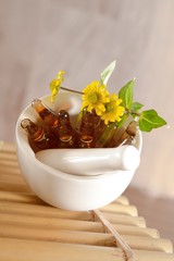 Ampullen für Schlangengifttherapie