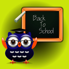 Funny owl around a blackboard