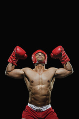 Fototapety  Mężczyzna bokser z rękami nad głową