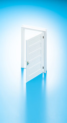 開いたミニチュアの扉