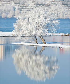 winter landscape with beautiful reflection in the water