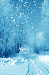Winter season - 58343268