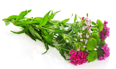 Branch of bright carnations and chrysanthemums