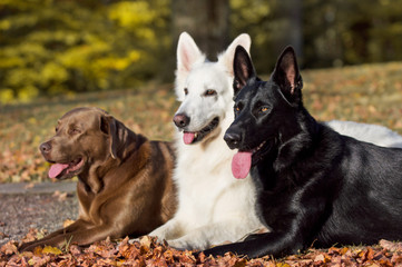 Jagdsaison beendet