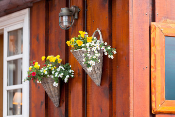 Fototapeta na wymiar Flowers in wicker pots on a icelandic wooden house