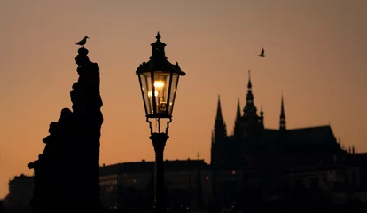 Poster seagull and silhouette prague © ondrooo
