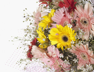 Obraz na płótnie Canvas Close-up of a bouquet of Daisy flowers