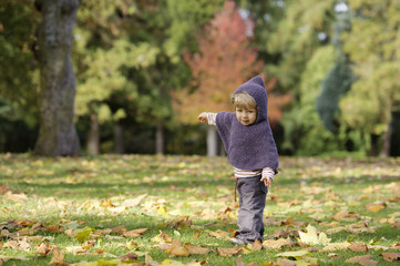little toddler in an autumn park