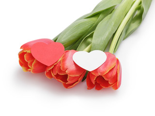 three tulips with paper heart