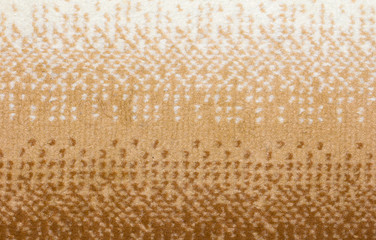 carpet as background