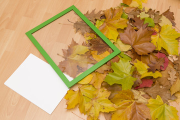 Blätter für Bilderrahmen vorbereiten