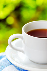 Cup of tea on nature background