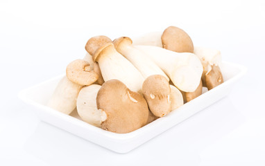 King Oyster mushrooms eringi on White Background