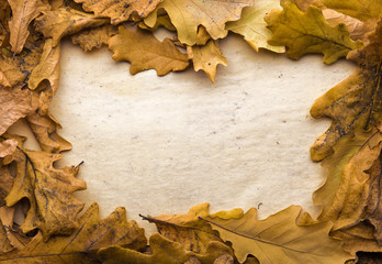 leaves and paper