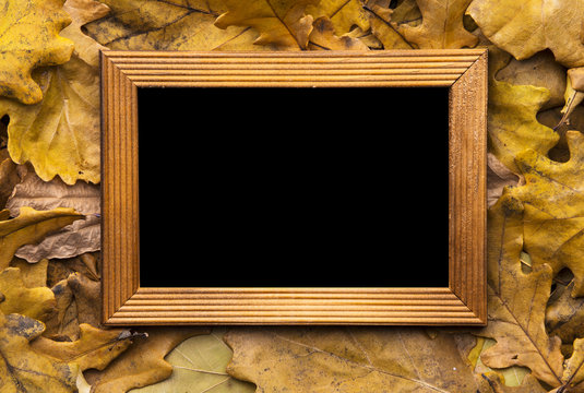 leaves and photo frame