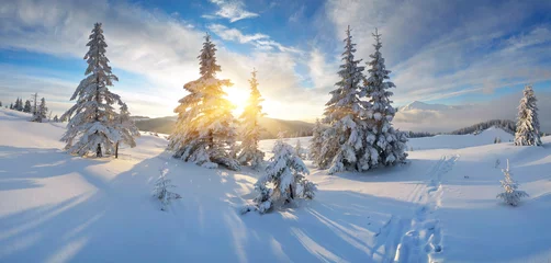 Fototapete Winter Morgenpanorama der Berge