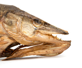 smoked fish on a white background