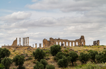 Obraz premium Ruins at Volubilis Morocco
