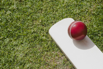 Cricket ball on a cricket bat in a field