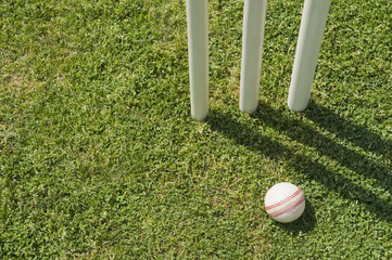 High angle view of a ball near stumps