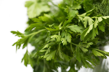 parsley on a white background. macro