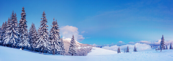 winter