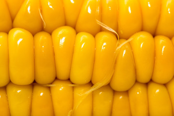 corn as a backdrop. macro