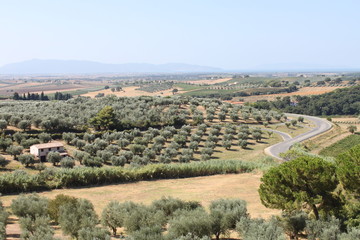 Fototapeta na wymiar paesaggio mediterrraneo
