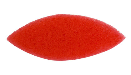 Close-up of an oval shaped bath sponge
