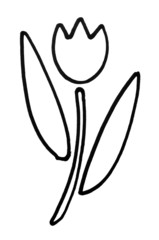 Outline of a tulip