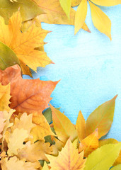 Bright autumn leafs on blue wooden table
