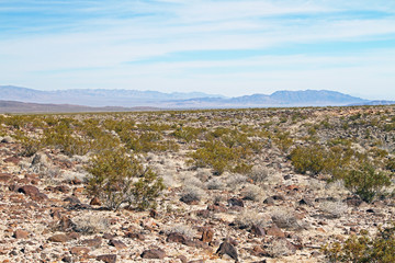 Nevada desert