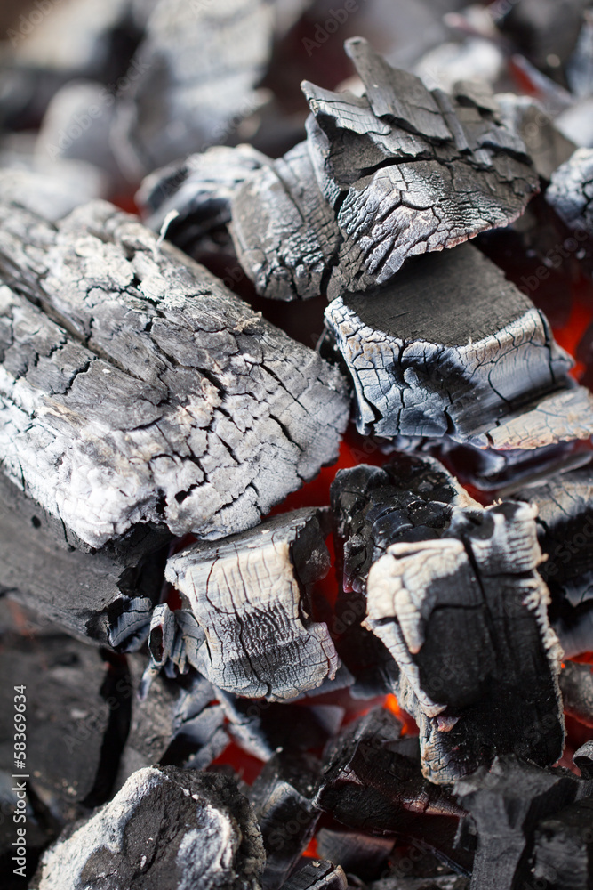 Wall mural coals as a backdrop. macro