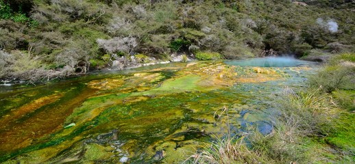 Steaming geo-thermal crater and lake in Waimangu Thermal Park