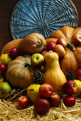 Autumn composition of fruits and pumpkins